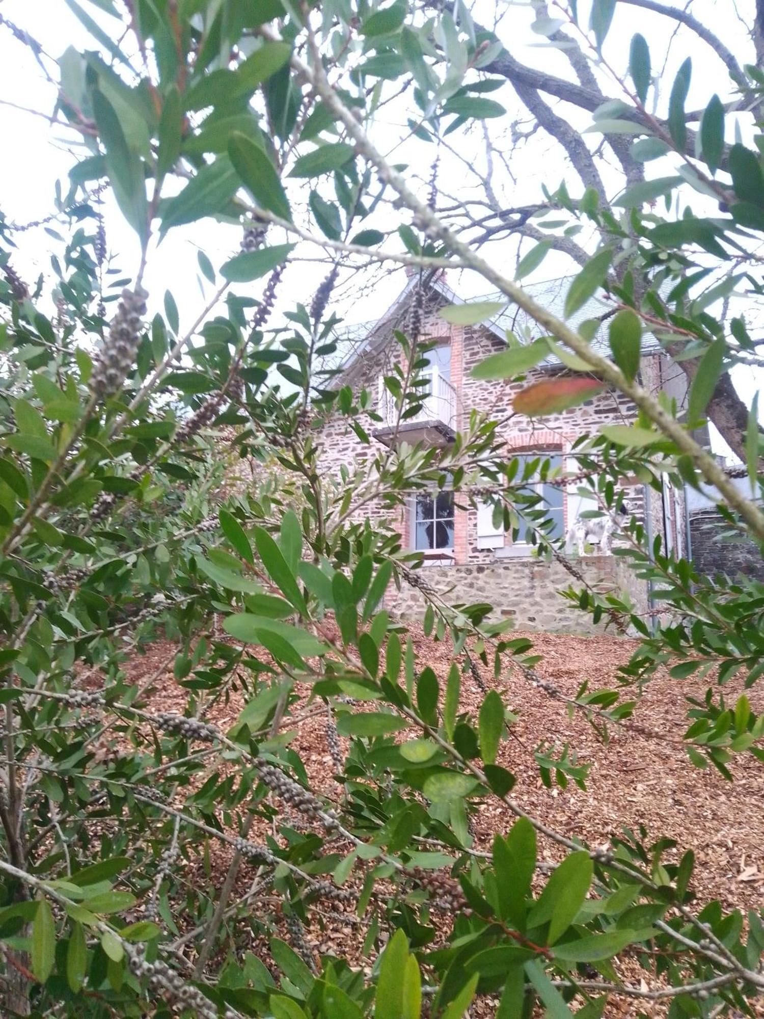 Domaine Le Gaudin - Saint Jean Le Thomas Villa Rom bilde